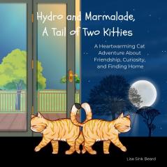 Hydro and Marmalade A Tail of Two Kitties