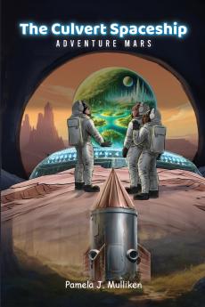 The Culvert Spaceship