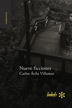 Nueve ficciones