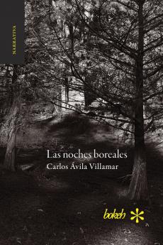 Las noches boreales