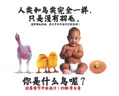 人类和鸟类完全一样，只是没有羽毛。