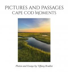 Pictures and Passages