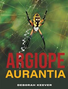 Argiope Aurantia