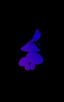 The Story of the Sleeping Lady