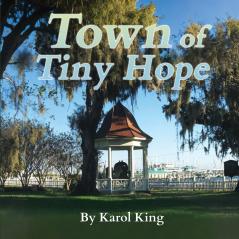 Town of Tiny Hope