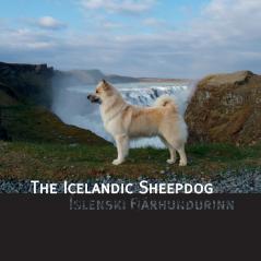 The Icelandic Sheepdog