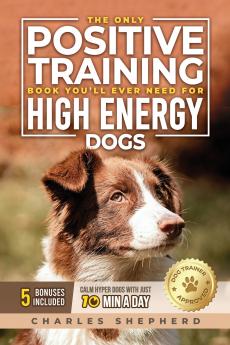 The Only Positive Training Book You'll Ever Need for High-Energy Dogs