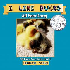 I Like Ducks