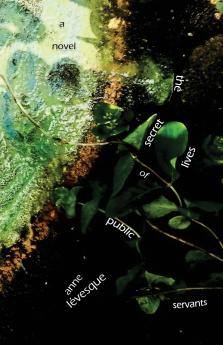 The Secret Lives of Public Servants