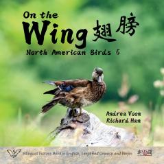 On the Wing ?? - North American Birds 5