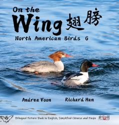 On the Wing ?? - North American Birds 6