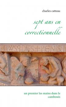Sept ans en correctionnelle