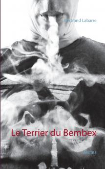 Le Terrier du Bembex