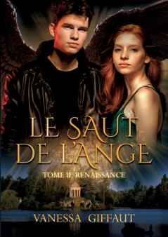 Le Saut de l'Ange