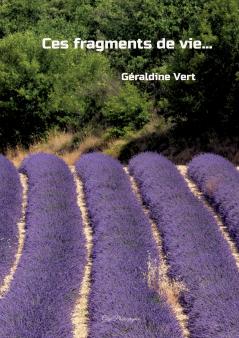 Ces fragments de vie...