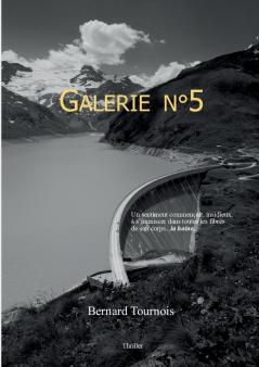 Galerie n°5