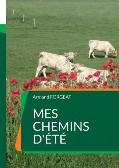 Mes chemins d'été