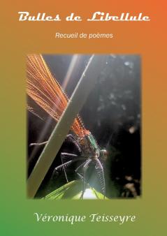Bulles de libellule