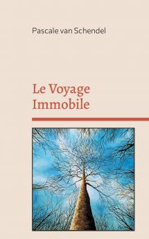 Le Voyage Immobile