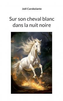 Sur son cheval blanc dans la nuit noire