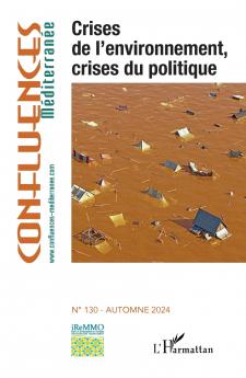 Crises de l'environnement crises du politique