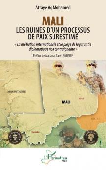 Mali - Les ruines d'un processus de paix surestimé