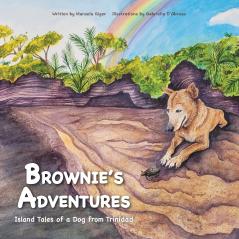 BROWNIE'S  ADVENTURES