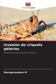 Invasion de criquets pèlerins
