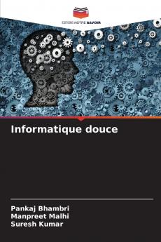 Informatique douce