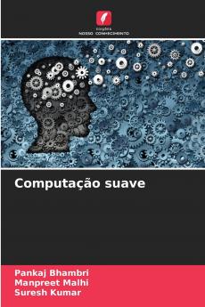 Computação suave