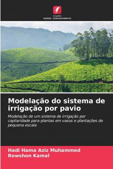 Modelação do sistema de irrigação por pavio
