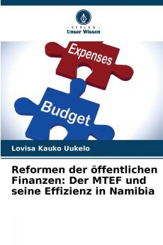 Reformen der öffentlichen Finanzen