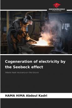 Cogeneration of electricity by the Seebeck effect