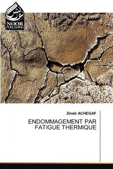 ENDOMMAGEMENT PAR FATIGUE THERMIQUE