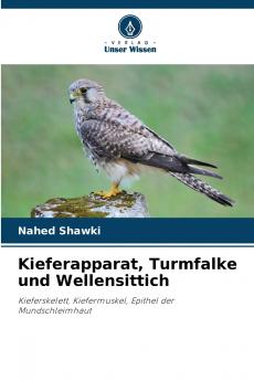 Kieferapparat Turmfalke und Wellensittich