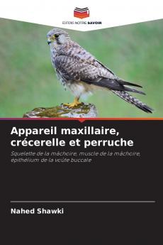 Appareil maxillaire crécerelle et perruche