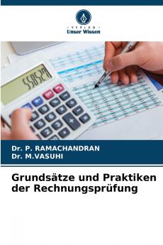 Grundsätze und Praktiken der Rechnungsprüfung