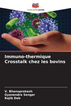 Immuno-thermique Crosstalk chez les bovins