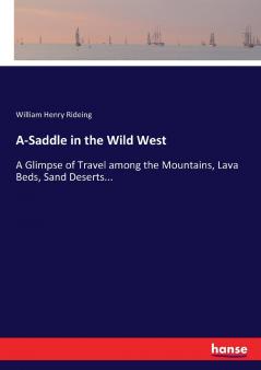 A-Saddle in the Wild West