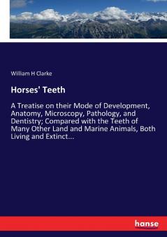 Horses' Teeth
