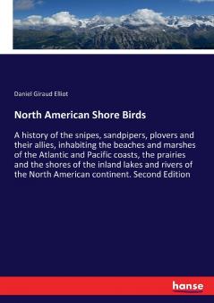 North American Shore Birds