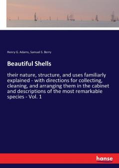 Beautiful Shells