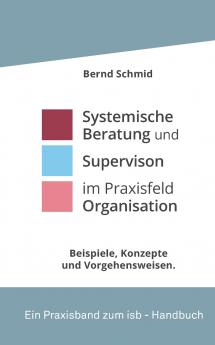 Systemische Beratung und Supervision im Praxisfeld Organisation