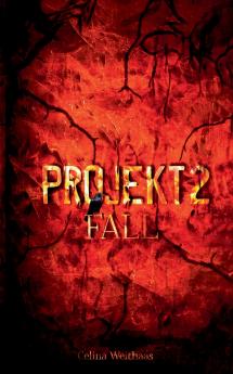 Fall - Projekt  II