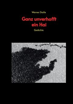 Ganz unverhofft ein Hai