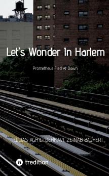 Let's Wonder In Harlem