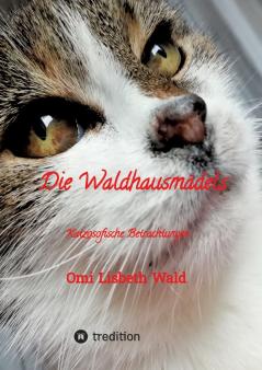 Die Waldhausmädels Tagebuchnotizen von Katze Lisbeth aus dem Leben mit ihrer Dosenöffnerin