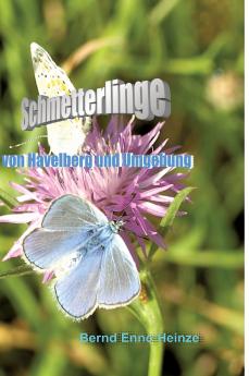 Schmetterlinge von Havelberg und Umgebung