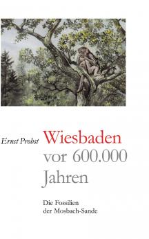 Wiesbaden vor 600.000 Jahren