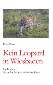 Kein Leopard in Wiesbaden
